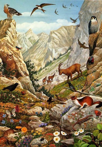 Animals paintings