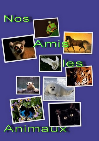 Our animals friends